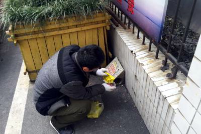 老鼠繁殖期，防治需及時,滅老鼠|防老鼠|老鼠防治