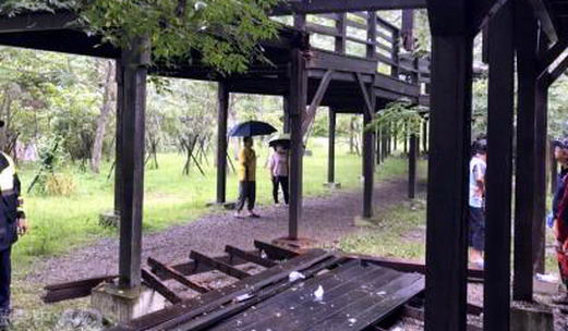 木棧道被白蟻蛀空，突然坍塌白蟻防治|滅白蟻