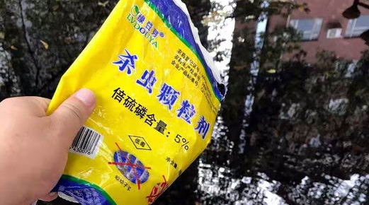 關于日常驅蚊|康雅殺蟲|廣州滅蚊