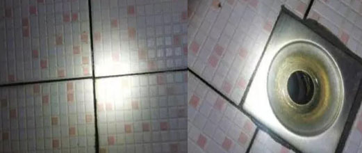 廣州殺蟲(chóng)公司