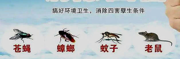 廣州除蟲滅鼠服務