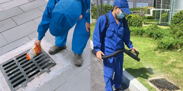 廣州消毒殺蟲服務(wù)