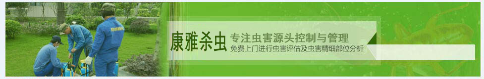 10年專業(yè)技術(shù)人員免費(fèi)上門進(jìn)行蟲害評(píng)估及蟲害精細(xì)部位分析